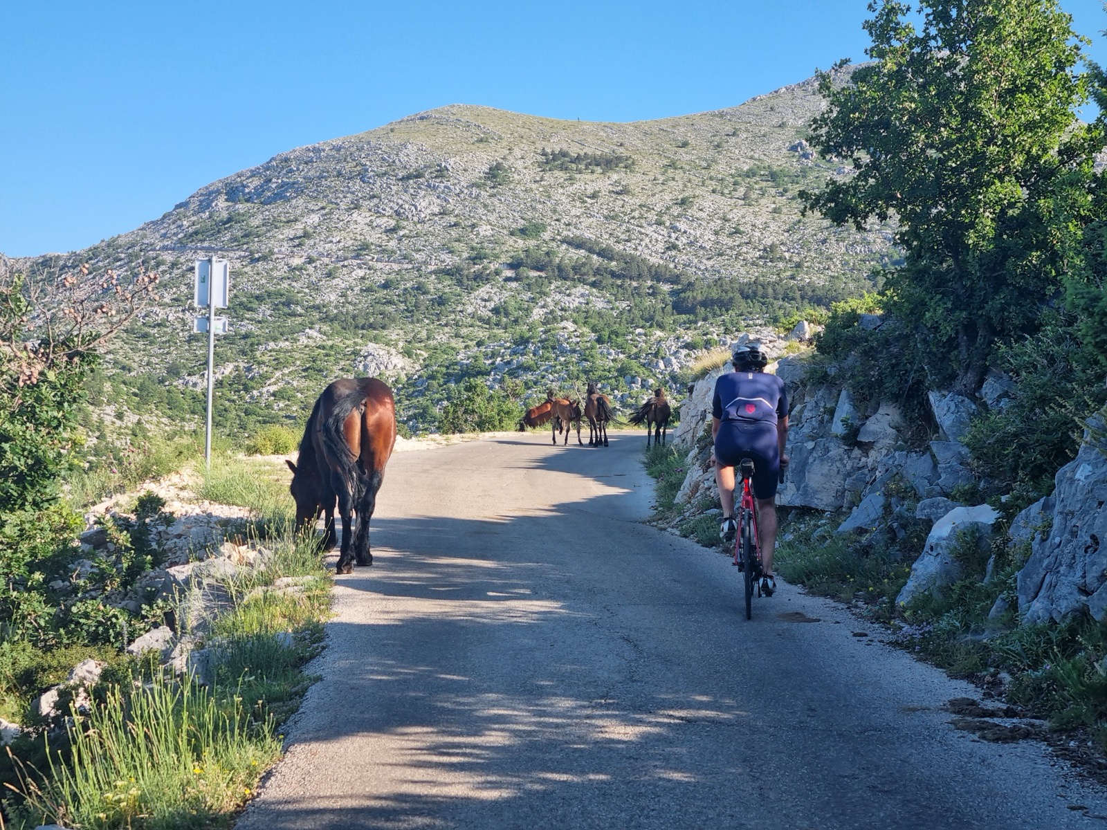 Tag 16: Gipfeltour: Sveti Jure (1762 m)